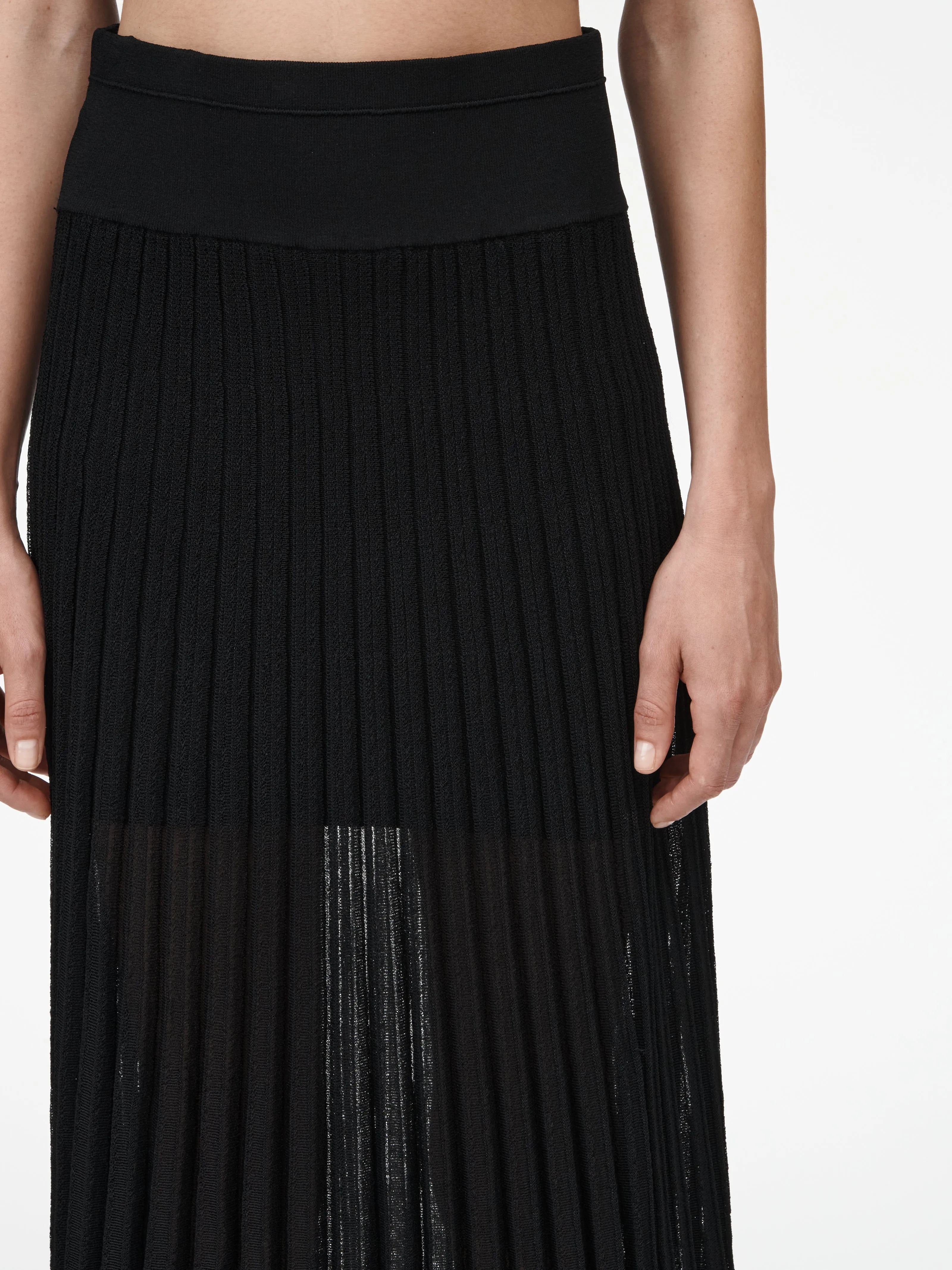 Sheer Pleat Skirt in Black